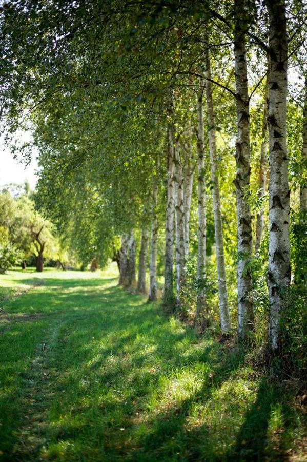 Obere Muehle - Scheunenwohnung Mitten Im Gruenen Baunach Exteriér fotografie
